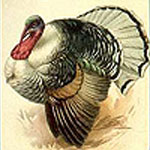 Thanksgiving