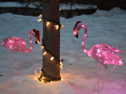 Christmas lighting in Canada