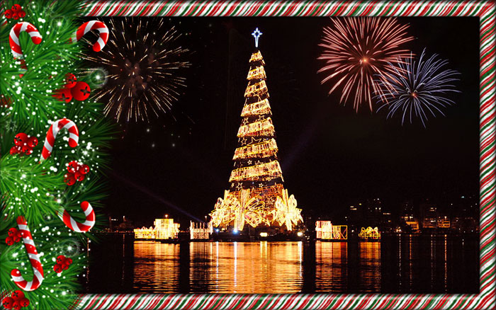 Christmas Tree Lighting and Fireworks in Brazil