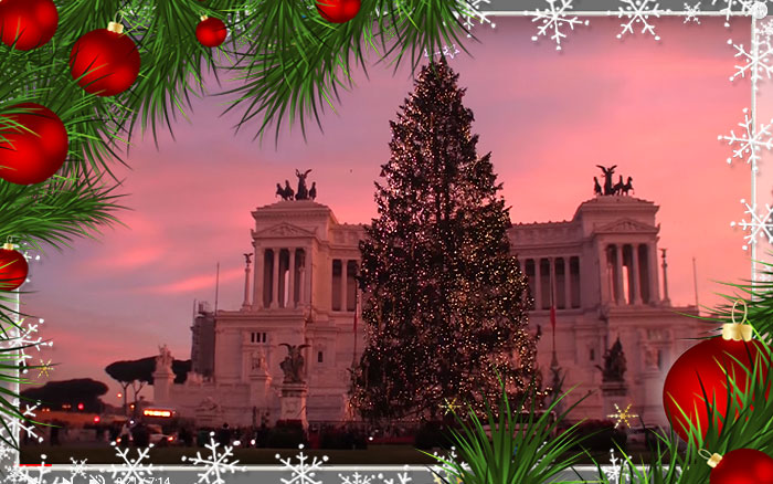 Christmas Tree Lighting in Italy