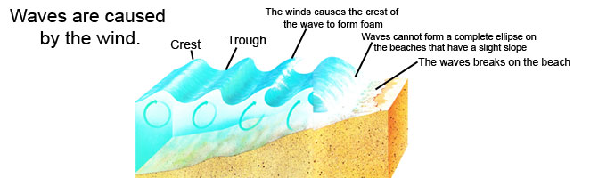 The Sea s Characteristics